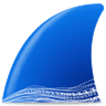 icon Wireshark